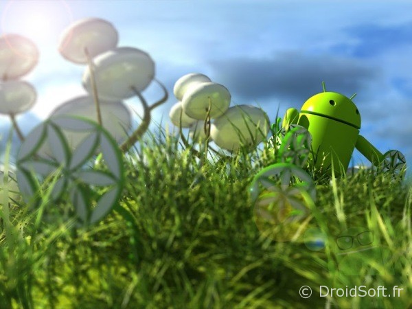 wallpaper android Droid Prairie Droid Prairie, Le fond d’écran Android du jour : Droid Prairie