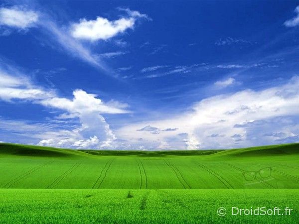 windows XP wallpaper android