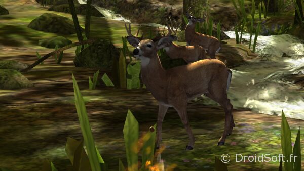 1284843-deer-hunter-2014