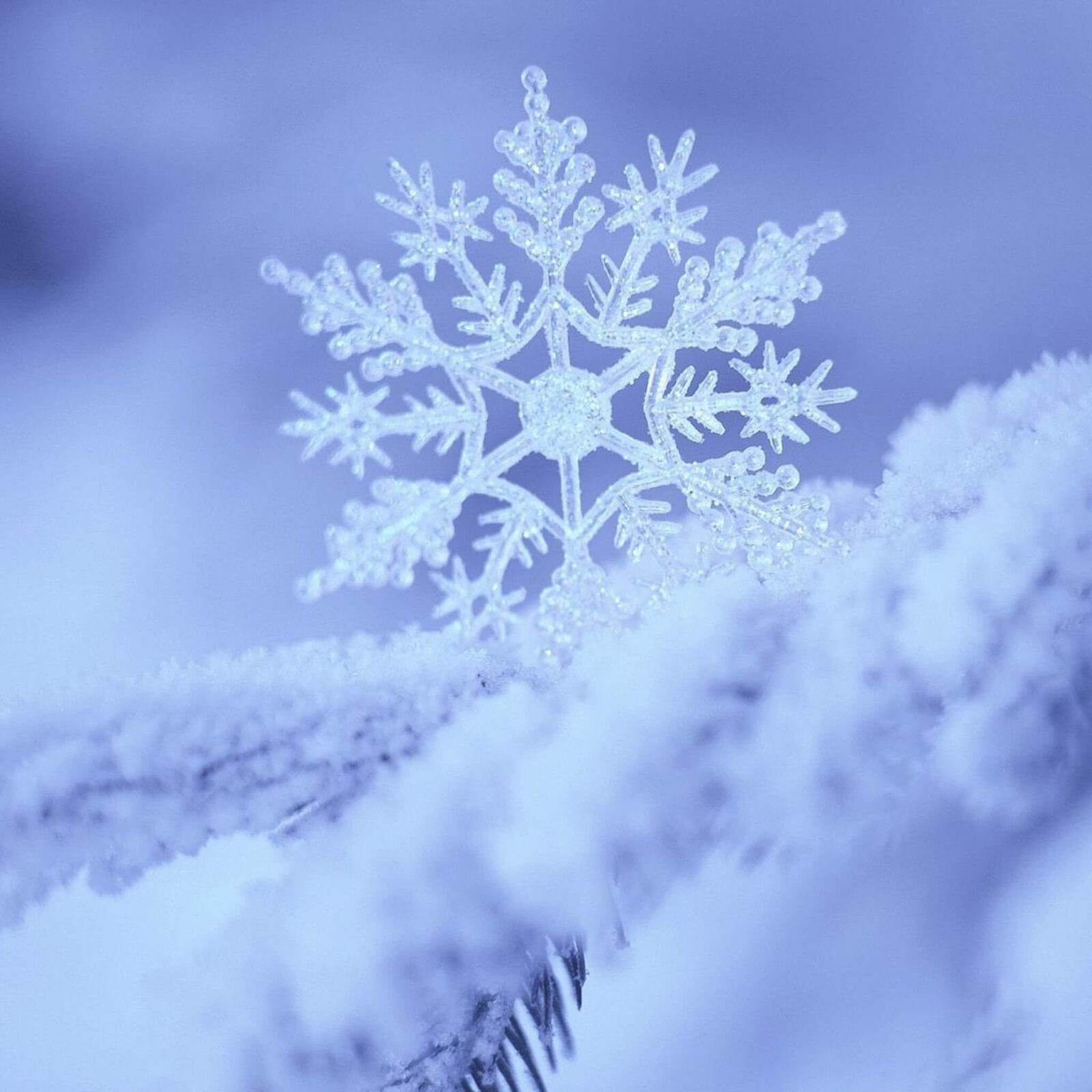 snow_snowflake_winter_form_pattern_49405_2048x2048
