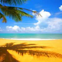 plage wallpaper android paradis