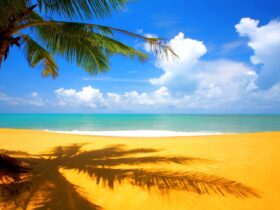 plage wallpaper android paradis