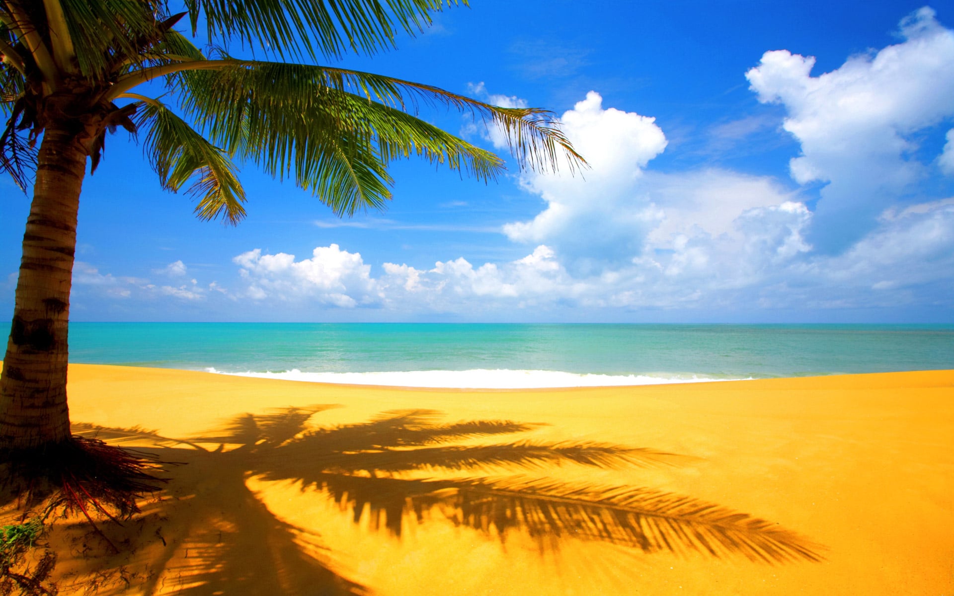 plage wallpaper android paradis