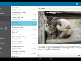 wordpress android 2.4