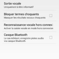 tuto assistant vocal google hors ligne