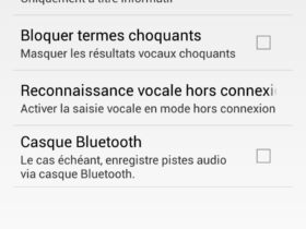 tuto assistant vocal google hors ligne