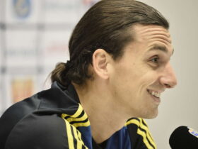 Zlatan sort son application Applications