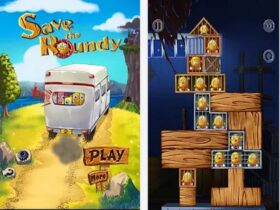 save the roundy apk