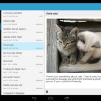 wordpress 3 apk android