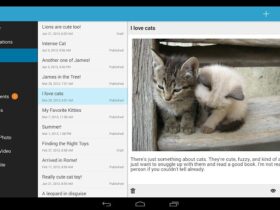 wordpress 3 apk android