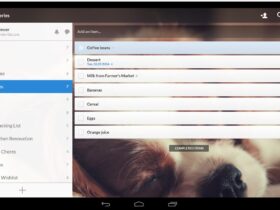 wunderlist android 3