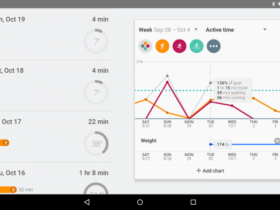 google fit bit app