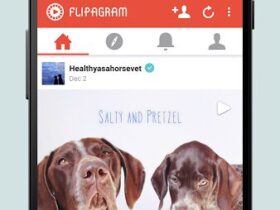 flipagram apk