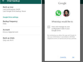 capture whatsapp Apk