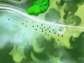 Gathering Sky : un jeu à la fois court et magnifique sur Android Jeux Android