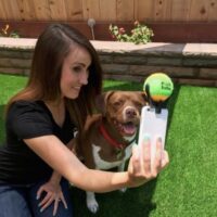 Pooch Selfie : Faire poser ses chiens pour un selfie sera bientôt possible Accessoires