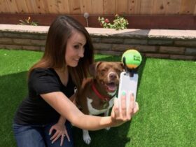 Pooch Selfie : Faire poser ses chiens pour un selfie sera bientôt possible Accessoires