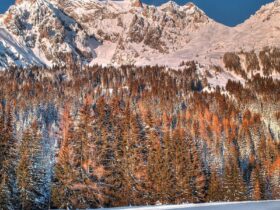 Le fond d’écran du jour spécial Noël : montagne enneigée Fonds d'écrans