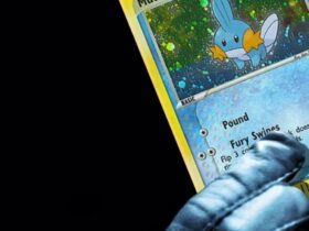 Le fond d’écran du jour spécial Pokemon : carte Mudkip Fonds d'écrans