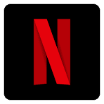 logo  Netflix VR 