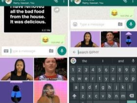 WhatsApp prend désormais en charge la recherche interne de GIF Applications