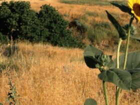 Les fonds d’écrans du jour : paysages (partie 4) Fonds d'écrans