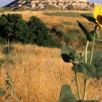 Les fonds d’écrans du jour : paysages (partie 4) Fonds d'écrans