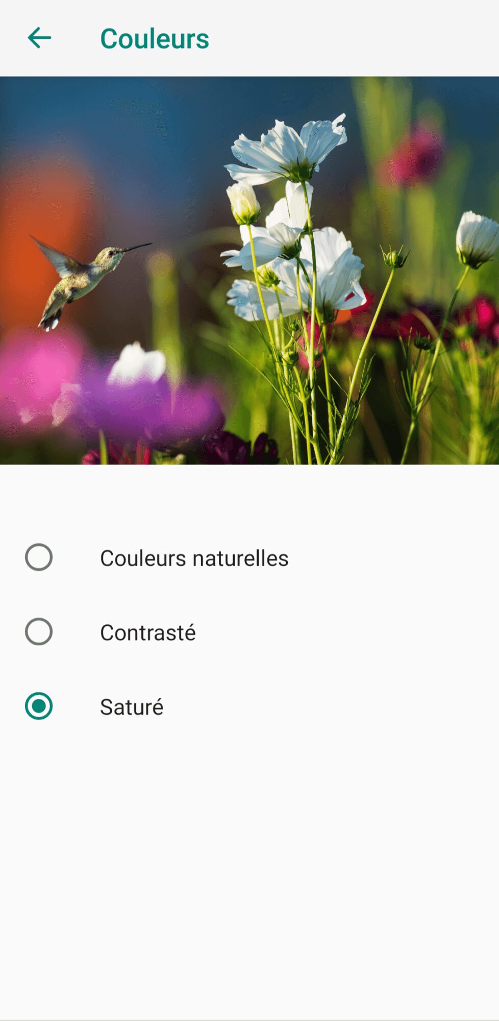rendu amoled possible