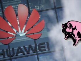 Huawei ses ventes s’effondrent : l’élevage des porcs et le charbon comme solution Actualité