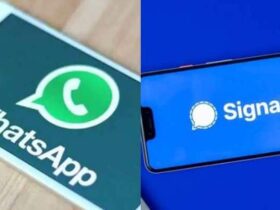 Signal prend de l’avance sur WhatsApp pour le transfert d’images Actualité