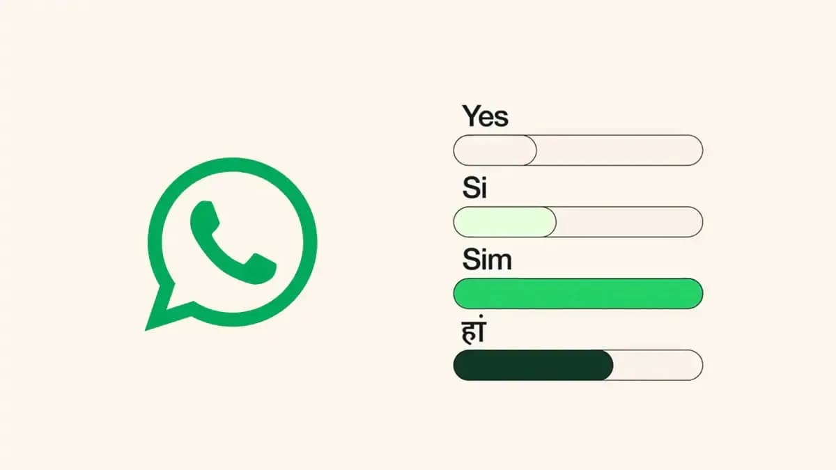 Comment créer un sondage dans un groupe sur WhatsApp ? Tutoriels