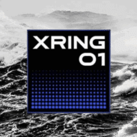 Puce Xiaomi Xring 01 intro