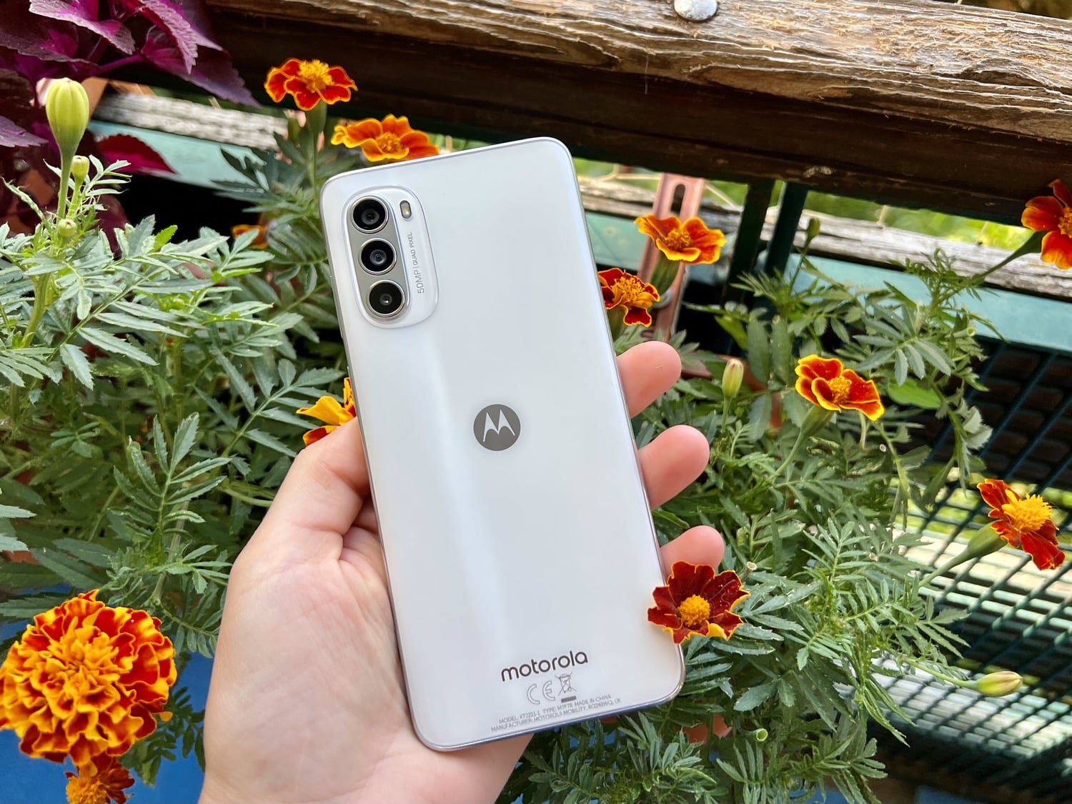 Motorola G53 5G