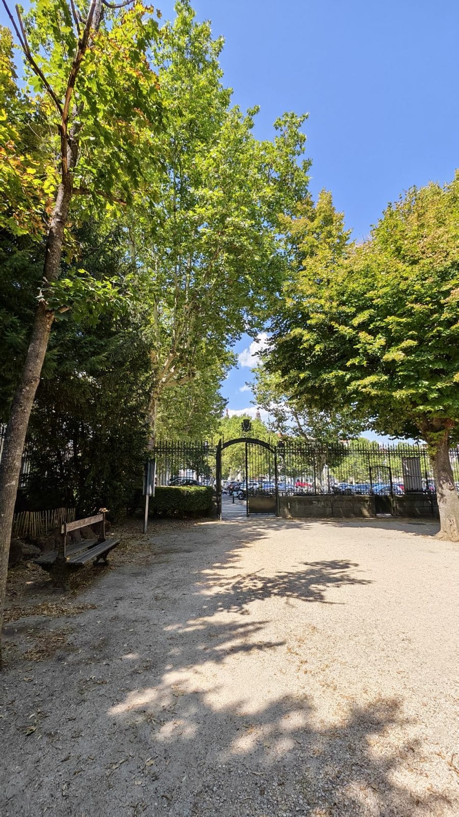 Allée de parc ombragée prise avec le Honor Magic V6