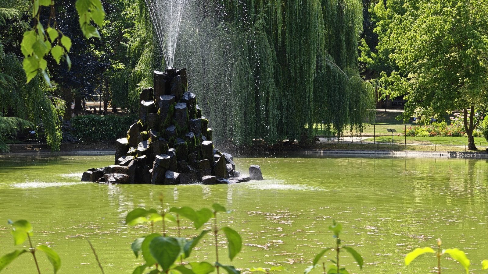 Jet d'eau d'une fontaine pris avec le Honor Magic V6